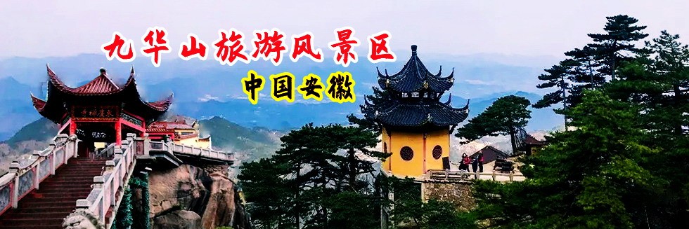 看一看小女人日逼逼逼